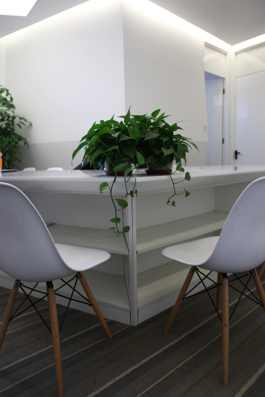 上海辦公室裝修公司綠植擺放設計-第4張圖片-上海古都建筑設計集團 上海辦公室裝修公司綠植擺放設計-第4張圖片-上海古都建筑設計集團